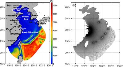 Effects of spatial bottom friction parameterization scheme on the tidal dynamics in the macrotidal East China Seas